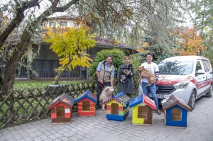 kutyahazakat-adomanyozott02