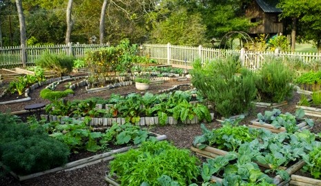 ismét versenyezhetnek