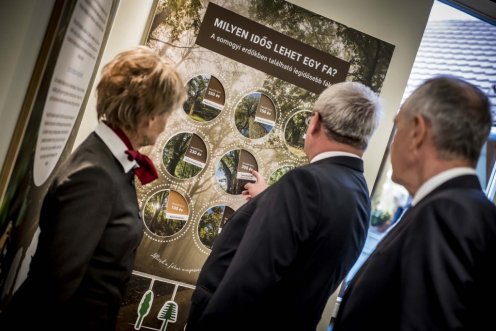 megnyílt az erdők01