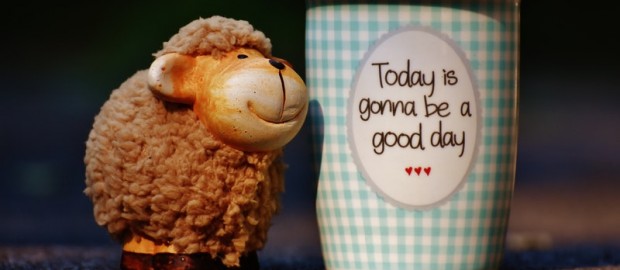 cél a műanyagmentes