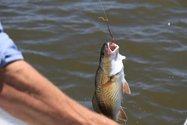 fishing, fisherman, blue sky