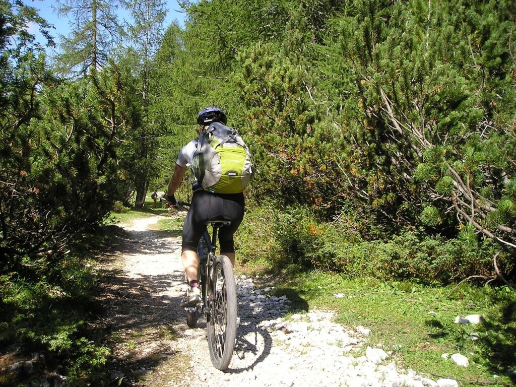 mountain bike, bicycle, alpine cross