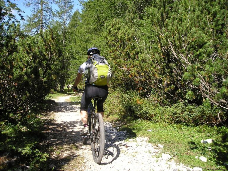mountain bike, bicycle, alpine cross
